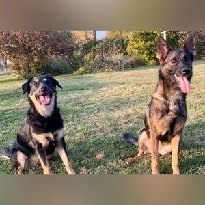 Meet your Posher, Misty